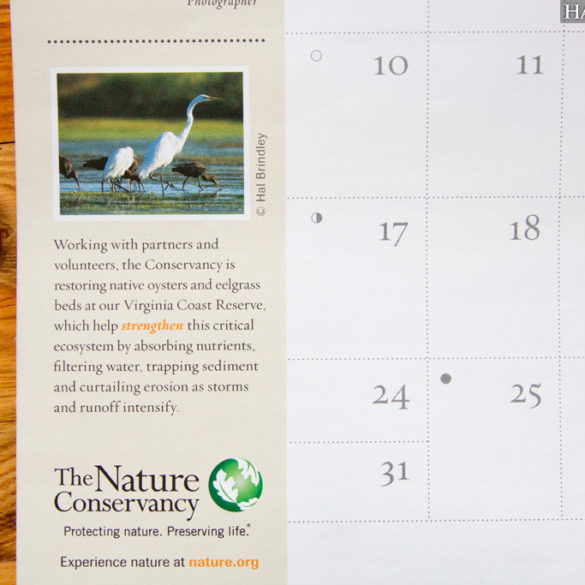 Tiny Pic in the Nature Conservancy Calendar Hal Brindley Wildlife