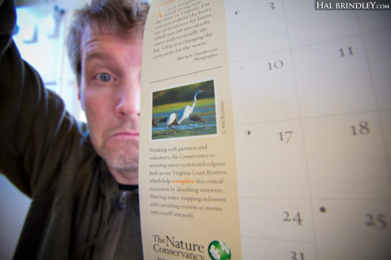 Hal Brindley with his photo in the Nature Conservancy Calendar 2014