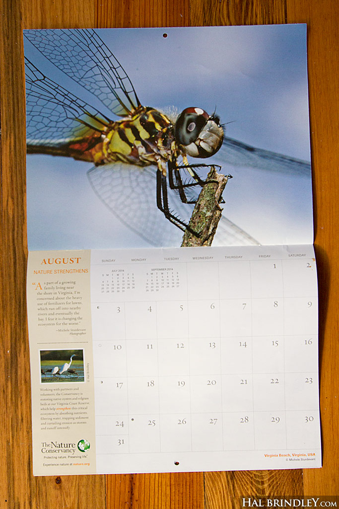 tiny-pic-in-the-nature-conservancy-calendar-hal-brindley-wildlife-photography