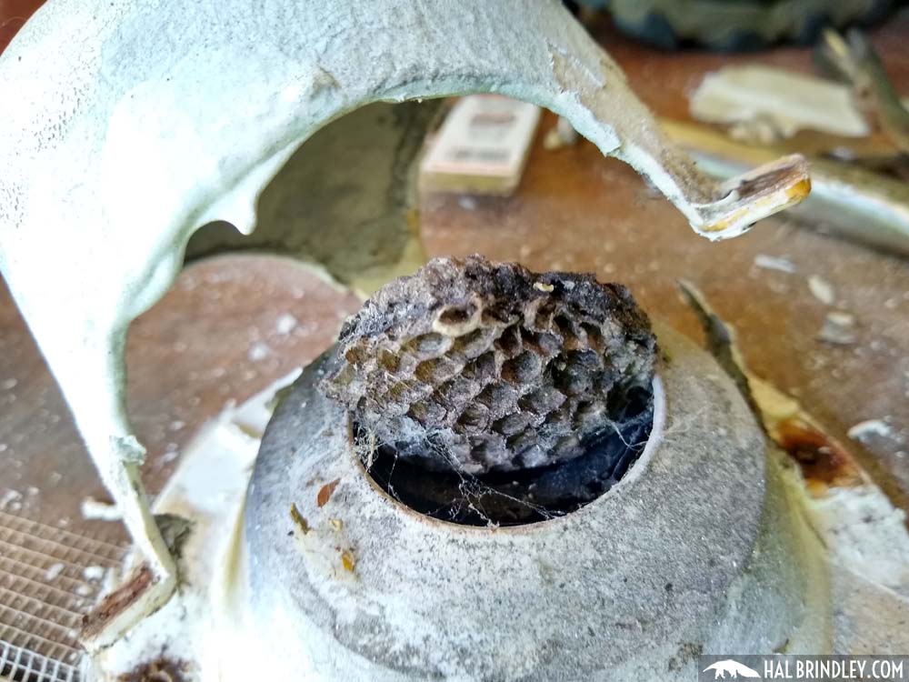 old wasp nest inside vent cap