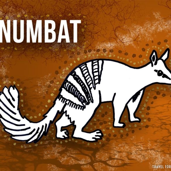 animals beginning with n: numbat
