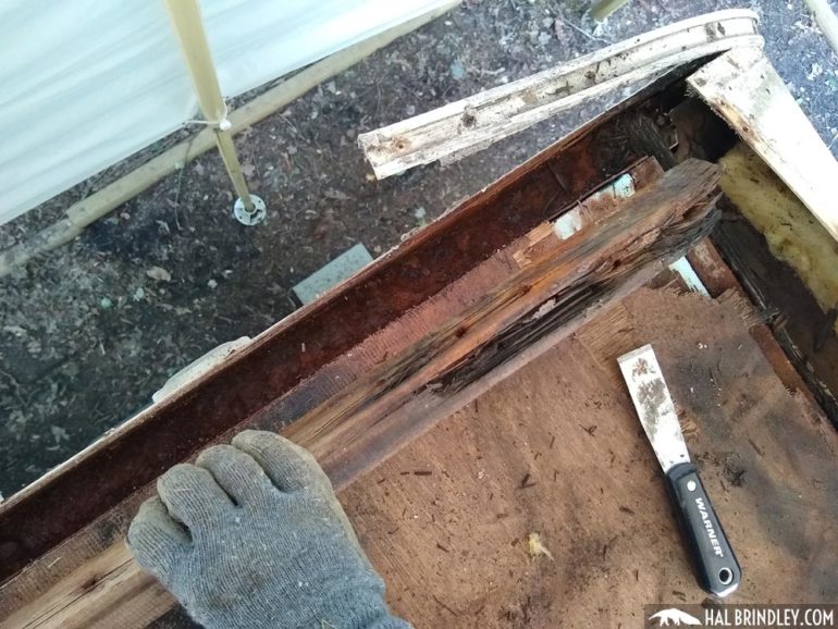 RV Roof Repair Step 7: Removing Damaged Wood - Hal Brindley Wildlife ...